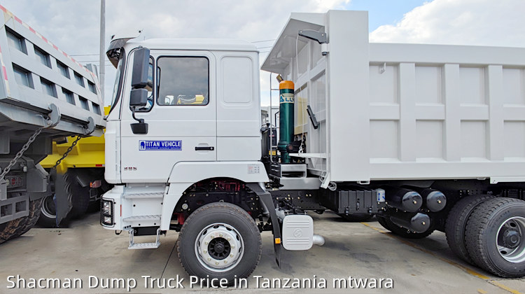 Shacman Truck F3000 6×4 Shacman Dump Truck Price in Tanzania mtwara