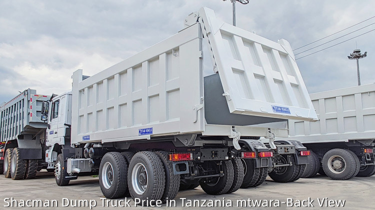 Shacman Truck F3000 6×4 Shacman Dump Truck Price in Tanzania mtwara