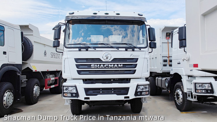 Shacman Truck F3000 6×4 Shacman Dump Truck Price in Tanzania mtwara