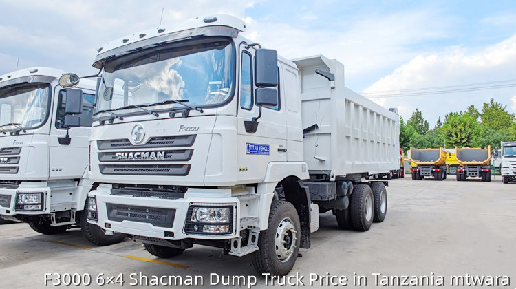 Shacman Truck F3000 6×4 Shacman Dump Truck Price in Tanzania mtwara