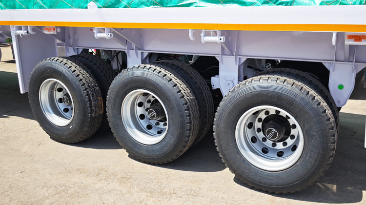 Shandong Titan Vehicle VS CIMC Vehicles Flatbed Truck Trailer in Tanzania    