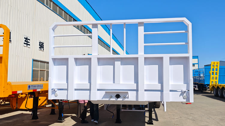 Titan Vehicle VS Super Doll Flatbed Truck Trailer for Sale in Arusha Tanzania