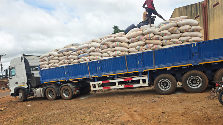 60 Ton Side Wall Semi Trailer | Sideboard Trailer in Zambia